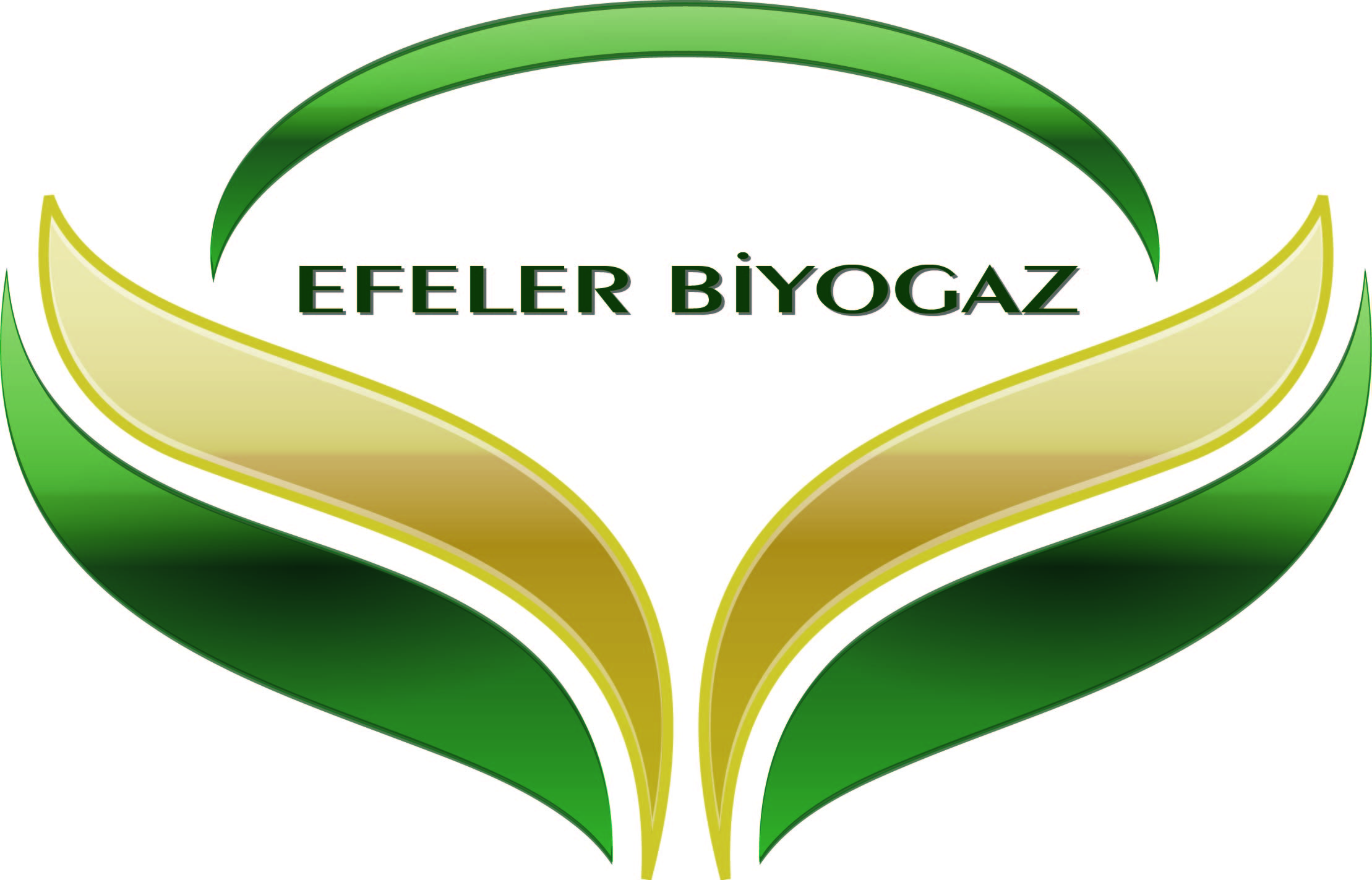 EFELER BİYOGAZ ELEKTRİK ÜRETİM A. Ş. 
