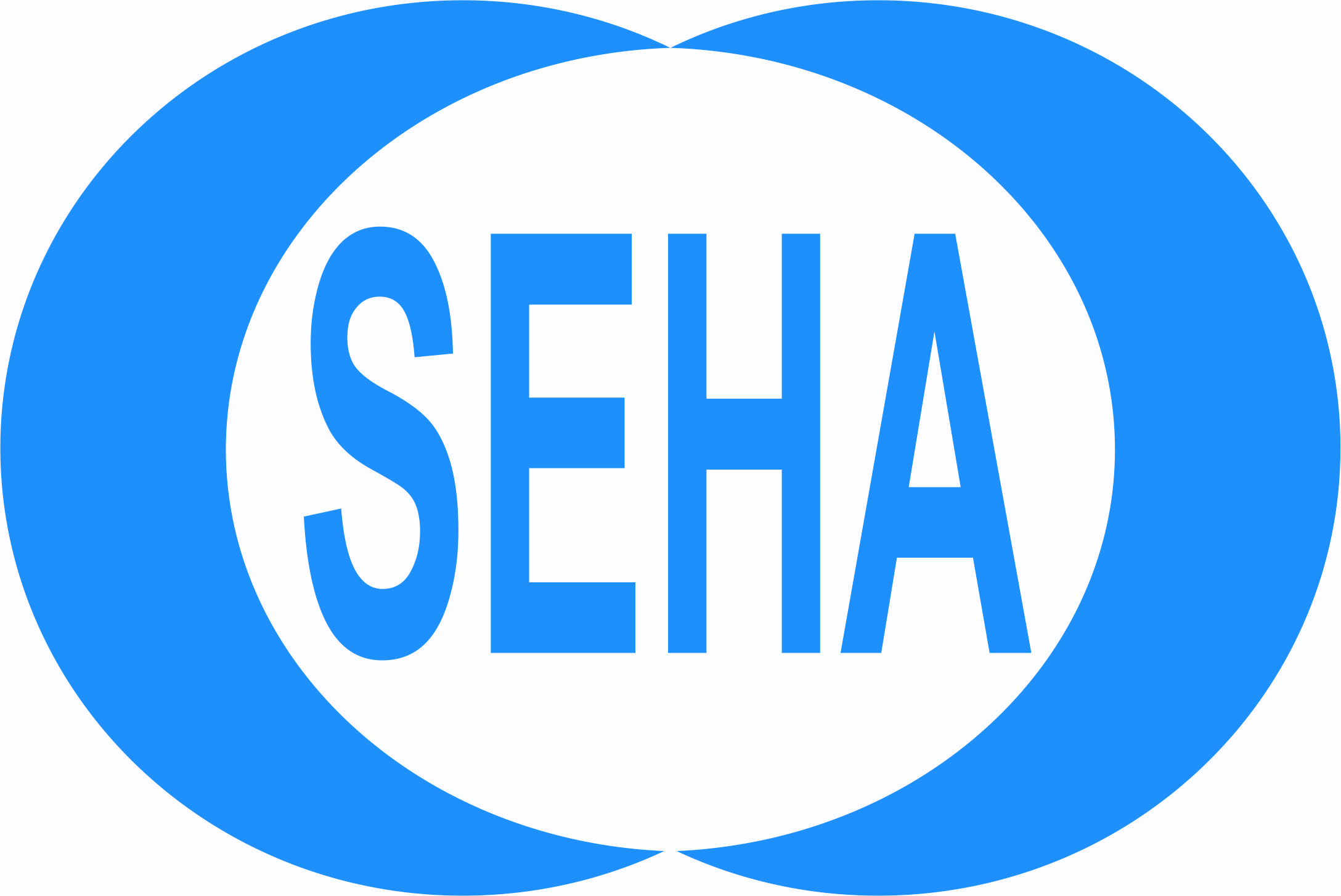 SEHA Mühendislik Müşavirlik Tic. ve Makina San. A.Ş.